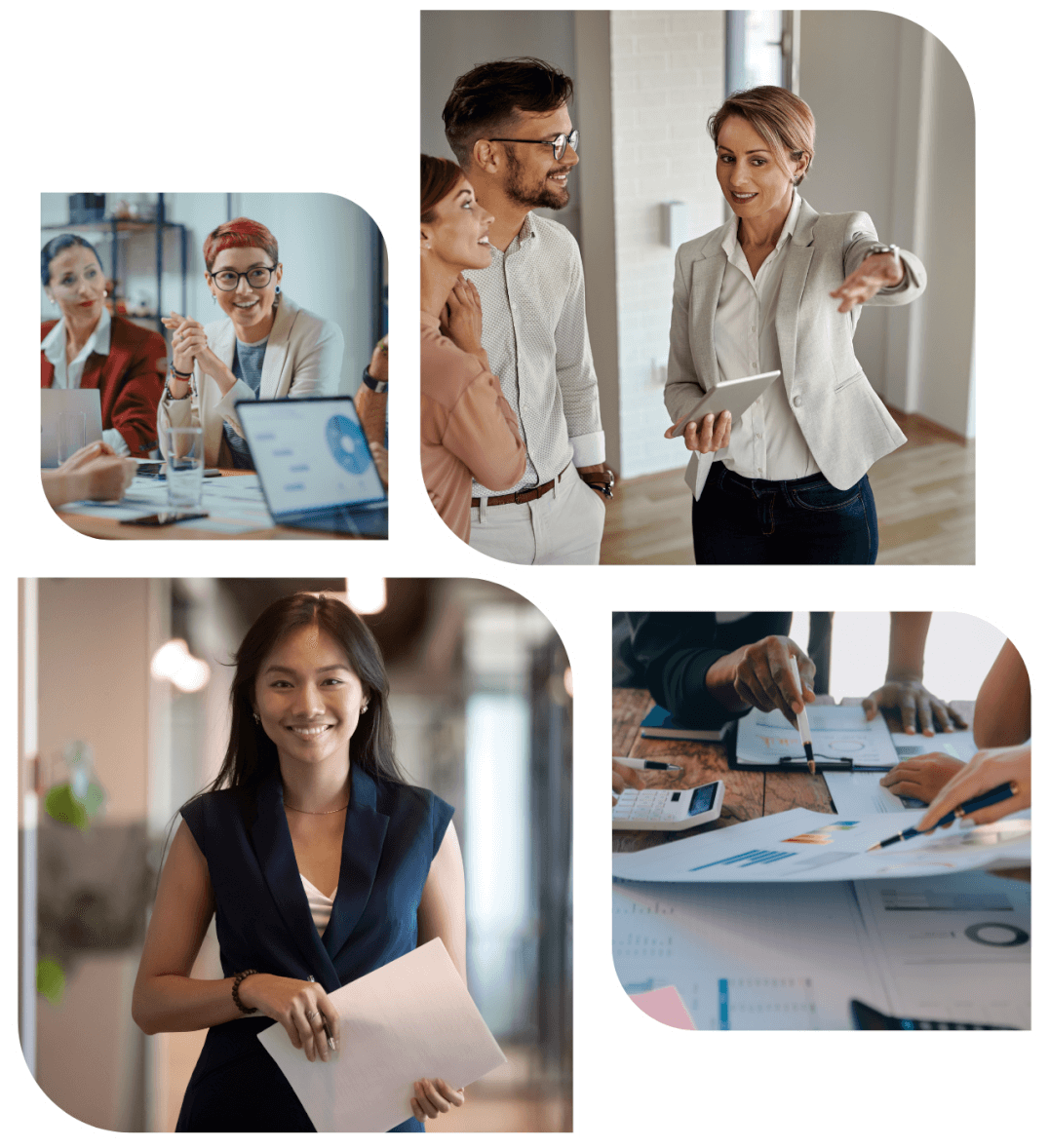 Macquarie Business Accountants